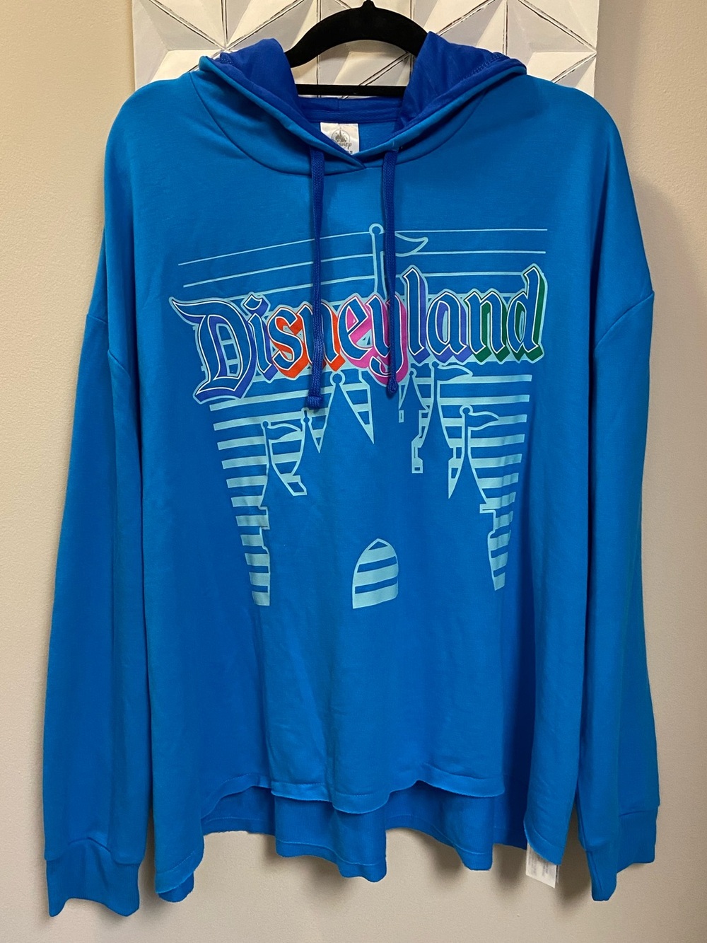 Disneyland Size 2X Hoodie